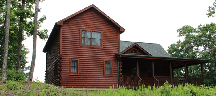 Professional Log Home Borate Application  Isle of Wight County, Virginia